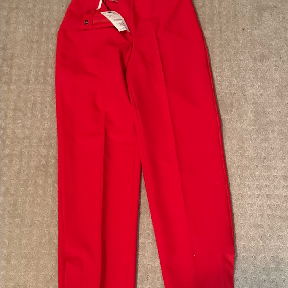 Zara pants